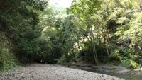 CAMPiii（キャンピー） スイング