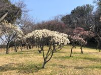 CAMPiii（キャンピー） 神前