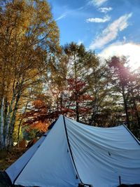 CAMPiii（キャンピー） Nobu CAMP