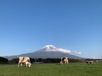 CAMPiii（キャンピー） しっぽ