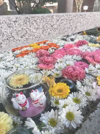 CAMPiii(キャンピー) Oniyome