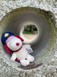 CAMPiii（キャンピー） まつくみ