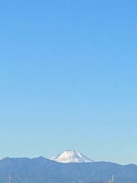 CAMPiii（キャンピー） ごぼう