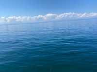CAMPiii（キャンピー） 釣りまくり