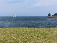 CAMPiii（キャンピー） あきお