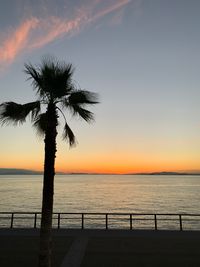 CAMPiii（キャンピー） あこ