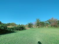 CAMPiii（キャンピー） kana