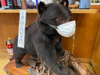 CAMPiii（キャンピー） やかわ