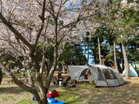 CAMPiii（キャンピー） かねこ