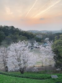 CAMPiii（キャンピー） だいすけ