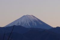 CAMPiii（キャンピー） はる