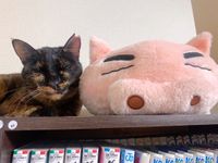 CAMPiii（キャンピー） よこ