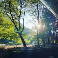 CAMPiii（キャンピー） カメ