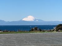 CAMPiii（キャンピー） フクちん