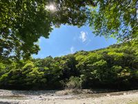 CAMPiii（キャンピー） まさまさ