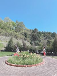 CAMPiii（キャンピー） 中野ことみ