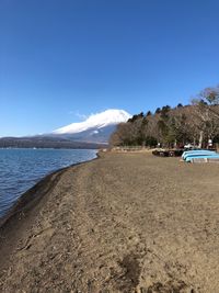 CAMPiii（キャンピー） ホタルイカ