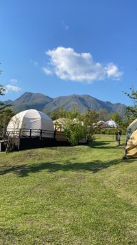 CAMPiii（キャンピー） なしでこ