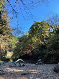 CAMPiii（キャンピー） あやの