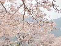 CAMPiii（キャンピー） Chiemi