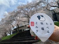 CAMPiii（キャンピー） ましし