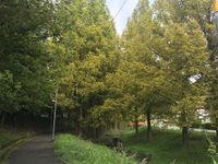 CAMPiii（キャンピー） 松崎　文彦