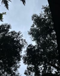CAMPiii（キャンピー） はまちゃん