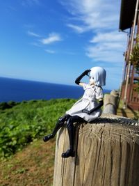 CAMPiii（キャンピー） べに〜
