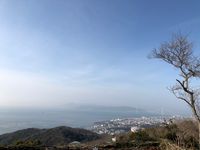 CAMPiii（キャンピー） たむたむ