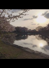 CAMPiii（キャンピー） もなか