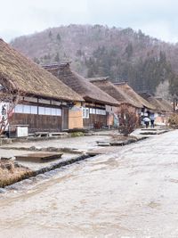 CAMPiii（キャンピー） なおきちdayo