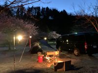 CAMPiii（キャンピー） きんぐりん