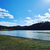 CAMPiii（キャンピー） ちくわ