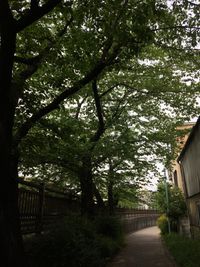 CAMPiii（キャンピー） きょ