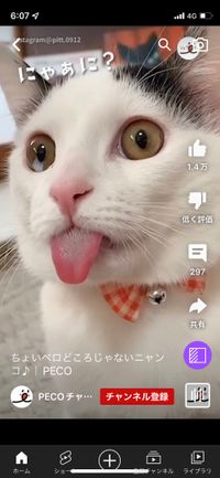 CAMPiii（キャンピー） ツー