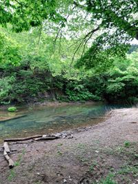 CAMPiii（キャンピー） きの