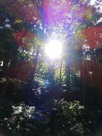CAMPiii（キャンピー） yama