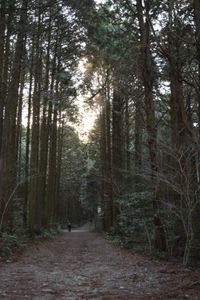 CAMPiii（キャンピー） TANO