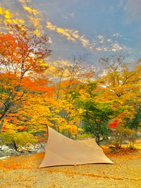 CAMPiii（キャンピー） 93camp