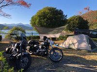 CAMPiii（キャンピー） リボンシトロン