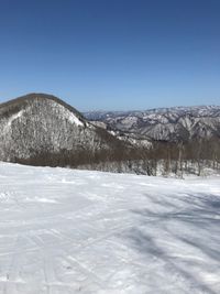 CAMPiii（キャンピー） まちゃひこ