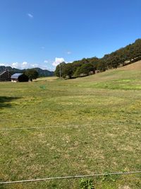CAMPiii（キャンピー） さとー