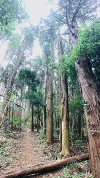 CAMPiii（キャンピー） ジロン@奥野の森と大地のユニオン