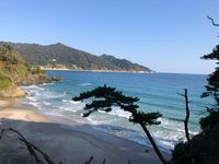CAMPiii（キャンピー） 太郎系