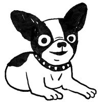 CAMPiii（キャンピー） くーちゃん
