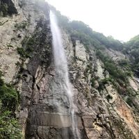 CAMPiii（キャンピー） ローヒーさん