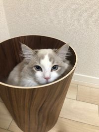 CAMPiii（キャンピー） すぎ