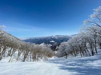 CAMPiii（キャンピー） うおきち