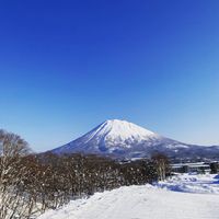 CAMPiii（キャンピー） タイチ