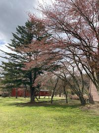 CAMPiii（キャンピー） 大山誠二
